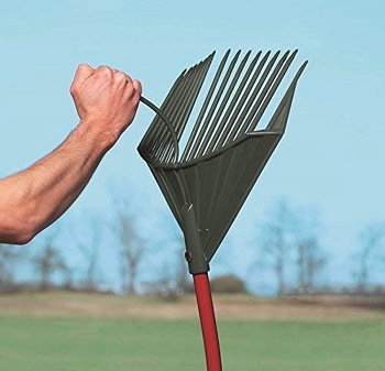 Best Rake for Acorns 2020